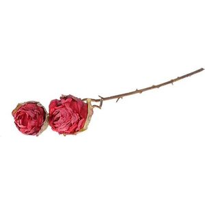 Decotak roos Orossy 45cm rood- met dubbele bloemen