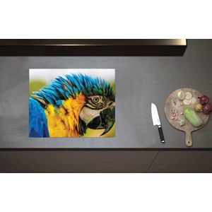 Inductieplaat Beschermer - Kop van Blauw met Gele Are Papegaai - 60x52 cm - 2 mm Dik - Inductie Beschermer van Vinyl