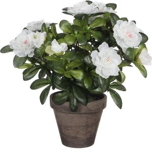 Mica Decorations Azalea Kunstplant in Bloempot Stan - H27 x Ø20 cm - Wit