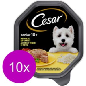 10x Cesar Senior Kuipje In Gelei Kip & Rijst - Hondenvoer - 150g