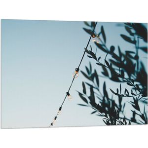 WallClassics - Vlag - Lampslinger bij Groene Takken - 100x75 cm Foto op Polyester Vlag