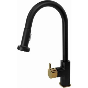 Venice Keukenkraan Zwart met Uittrekbare Uitloop - GAMMA