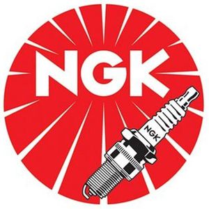 Ngk Cm-6 Bougie Zilver