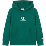 Champion - Hooded Sweatshirt - Groen - Trui - Jongens