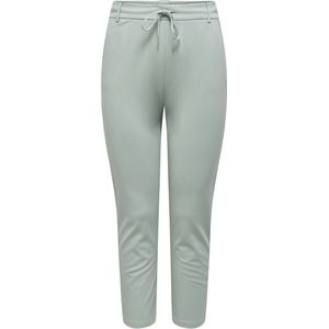 ONLY CARMAKOMA - CARGOLDTRASH LIFE CLASSIC PANT NOOS - Dames - Leggings