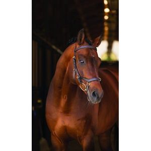 Horseware Rambo Micklem Rubber Reins Bruin Pony