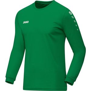 Jako Team Longsleeve T-shirt Heren Sportshirt - Maat S  - Mannen - groen