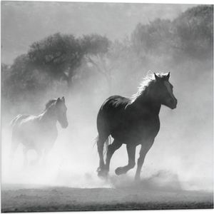 WallClassics - Vlag - Paarden in Galop Zwart / Wit - 50x50 cm Foto op Polyester Vlag
