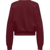 ONLY Truien & sweaters BORDEAUX