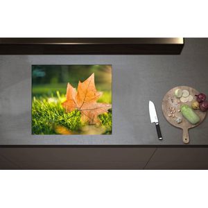 Inductieplaat Beschermer - Bruin Herfstblad op Groen Gras met Zonnestraal - 58x51 cm - 2 mm Dik - Inductie Beschermer - Bescherming Inductiekookplaat - Kookplaat Beschermer van Wit Vinyl