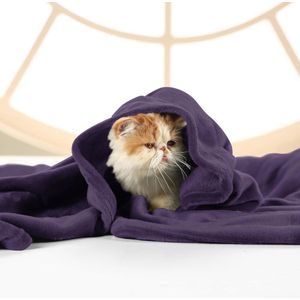 Inovra ® Beddengoed Knuffelige Fleece Deken, Zachte, Lichtgewicht, Warme Fluffy Deken, Knuffelige en Ademende Dekens voor Bed, Bank, Bank (220 x 240 cm), Paars