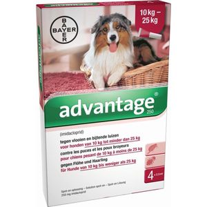 Advantage 250 Anti vlooienmiddel Hond - 4 pipetten