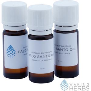 Palo Santo olie - Heilig Hout - Bursera graveolens - Waking Herbs