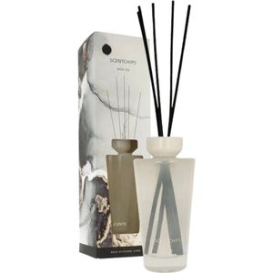 Scentchips Geurstokjes set Cone Belle Vie - Geurstokjeshouder - Geurstokjes Navulling - Geurstokjes - Voorgevuld - Geurverspreider - Huisparfum - 500 ml