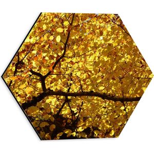 WallClassics - Dibond Hexagon - Dekbed van Gele Bladeren - 30x26.1 cm Foto op Hexagon (Met Ophangsysteem)