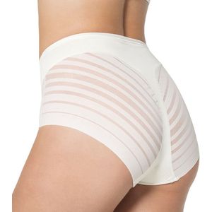 Lace Stripe Undetectable Slip | Off White