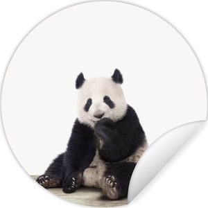 Behangsticker kids - Woondecoratie - Panda - Dieren - Kinderen - Jongens - Meisjes - Pandabeer - 80x80 cm - Kinderkamer decoratie - Muurdecoratie jongenskamer