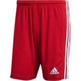 adidas - Squadra 21 Shorts - Rode Shorts - XXL - Rood