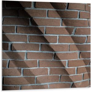 Forex - Schaduw op de Muur - 100x100cm Foto op Forex