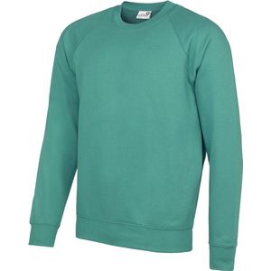 Awdis Academie Herenbemanning Hals Raglan Sweatshirt (Smaragd)