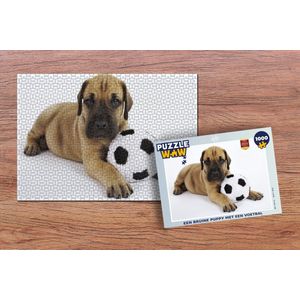 Puzzel Een bruine puppy met een voetbal - Legpuzzel - Puzzel 1000 stukjes volwassenen