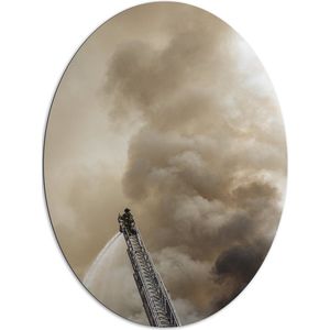 Dibond Ovaal - Brandweerman in Actie bij Grote Rookwolk - 81x108 cm Foto op Ovaal (Met Ophangsysteem)