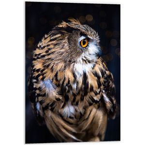WallClassics - PVC Schuimplaat - Bruin met Zwarte Oehoe Uil - 60x90 cm Foto op PVC Schuimplaat (Met Ophangsysteem)
