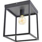 Urban Interiors Frame Plafondlamp Zwart - Metalen frame - 25x25x31