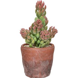 Pomax - Kunstbloem / kunstplant / artificiële plant in pot - Rood / groen / beige - ø 8,5 x 18,5 cm hoog.