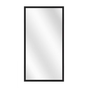 Spiegel met Luxe Aluminium Lijst - Mat Zwart - 20x50 cm