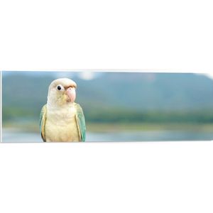 PVC Schuimplaat - Beige met Turqoise Mini Papegaai op Tak voor Gebergte - 90x30 cm Foto op PVC Schuimplaat (Met Ophangsysteem)