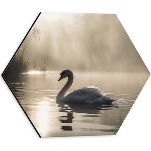 Dibond Hexagon - Witte Zwaan Dobberend in de Schaduw op het Water - 30x26.1 cm Foto op Hexagon (Met Ophangsysteem)