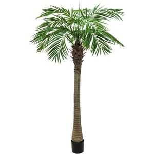 Europalms Phoenix palmboom luxor, 300cm