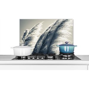 Spatscherm keuken 70x50 cm - Kookplaat achterwand Pampasgras - Zwart - Wit - Natuur - Muurbeschermer - Spatwand fornuis - Hoogwaardig aluminium