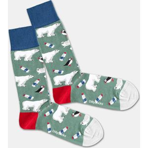 DillySocks Winter Climate Sock - maat 36-40