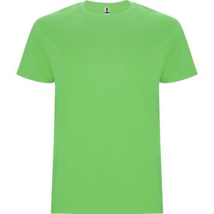 Roly Stafford T-Shirt RY6681 - Oasis Green 114 - XL