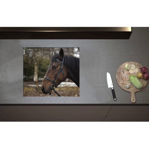 Inductieplaat Beschermer - Bruin paard met halster om buiten - 57x50 cm - 2 mm Dik - Inductie Beschermer - Bescherming Inductiekookplaat - Kookplaat Beschermer van Zwart Vinyl