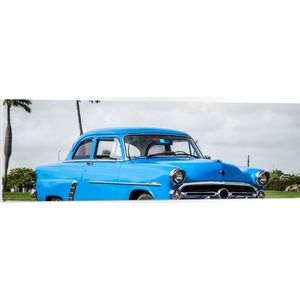 PVC Schuimplaat - Oude Blauwe Vintage Auto bij Palmbomen - 120x40 cm Foto op PVC Schuimplaat (Met Ophangsysteem)