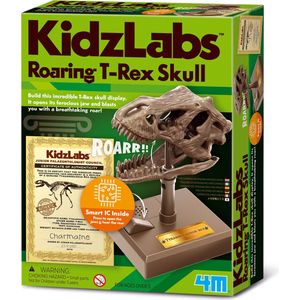 4M KIDZROBOTIX: BRULLENDE T-REX SCHEDEL 12cm, met gedetailleerde instructies, werkt op 2x1.5V AAA batterijen (niet inbegrepen), doos, 5+