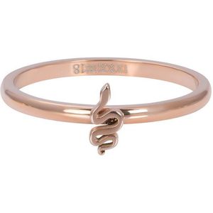 iXXXi Jewelry Vulring 2 mm Symbol Snake Rosegoudkleurig - maat 20