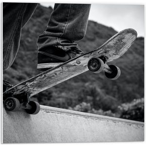Forex - Zwart - Wit Skateboard op Skatebaan - 50x50cm Foto op Forex