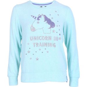 Eenhoorn mint sweater UNICORN