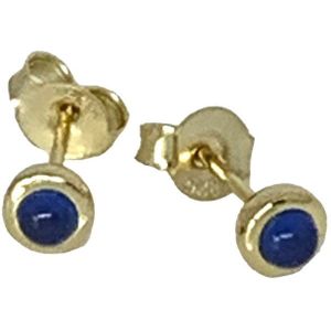 Oorbellen - oorstekers - 925 sterling zilver - 14 karaat goud verguld - aqua blauwe zirkonia - zirconia - Gold plated 14K - 5 mm
