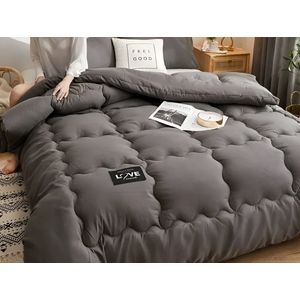 Winterdekbed Dikker Warm Bed Deken Dubbel Bed Hoes Zacht Dekbed Thuis Microfiber Nordic Quilts Met Vulling 180x220cm 3Kg Taupe