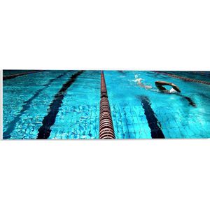 PVC Schuimplaat - Boeien tussen Zwembanden in Professioneel Zwembad - 60x20 cm Foto op PVC Schuimplaat (Met Ophangsysteem)