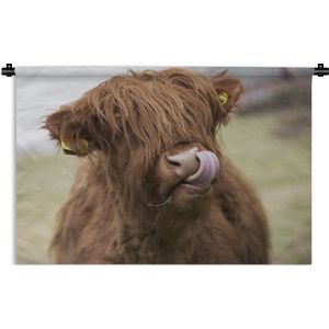 Wandkleed Schotse Hooglanders  - Schotse hooglander likt zijn lippen Wandkleed katoen 150x100 cm - Wandtapijt met foto