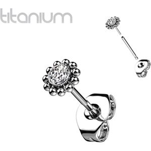 Oorbellen titanium Round CZ and Ball Around top