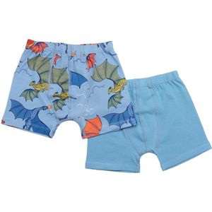 2-Pack Boxershort Dragons maat 104