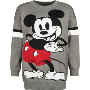 Mickey Mouse Mickey Mouse Stance Dames Gebreide trui - grijs - S