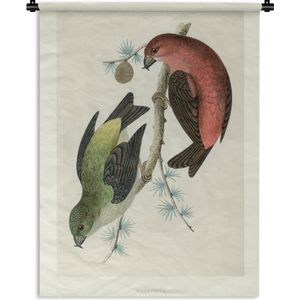 Wandkleed Antieke Vogelprenten - Antieke vogelprent zangvogels Wandkleed katoen 150x200 cm - Wandtapijt met foto